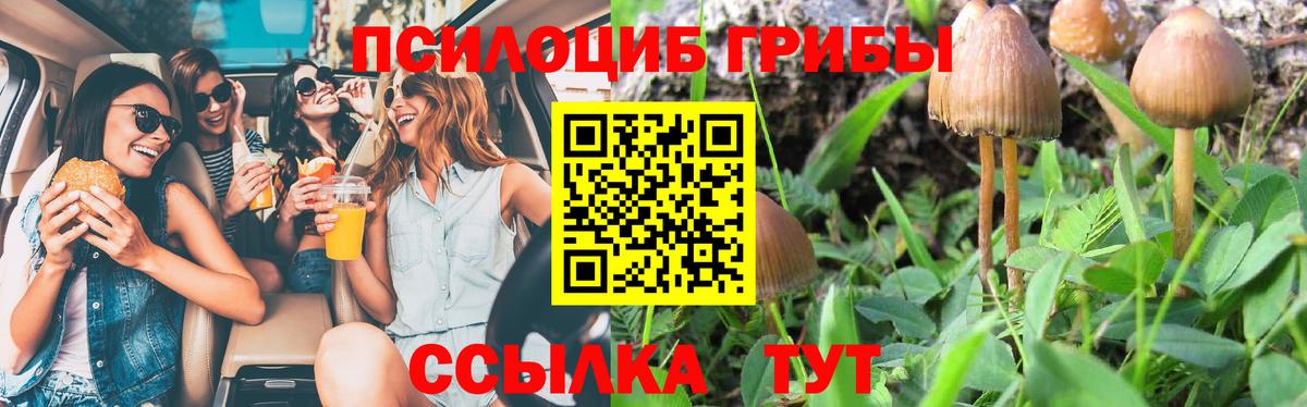 Галлюциногенные грибы мицелий  Вход с VPN  Карпинск 